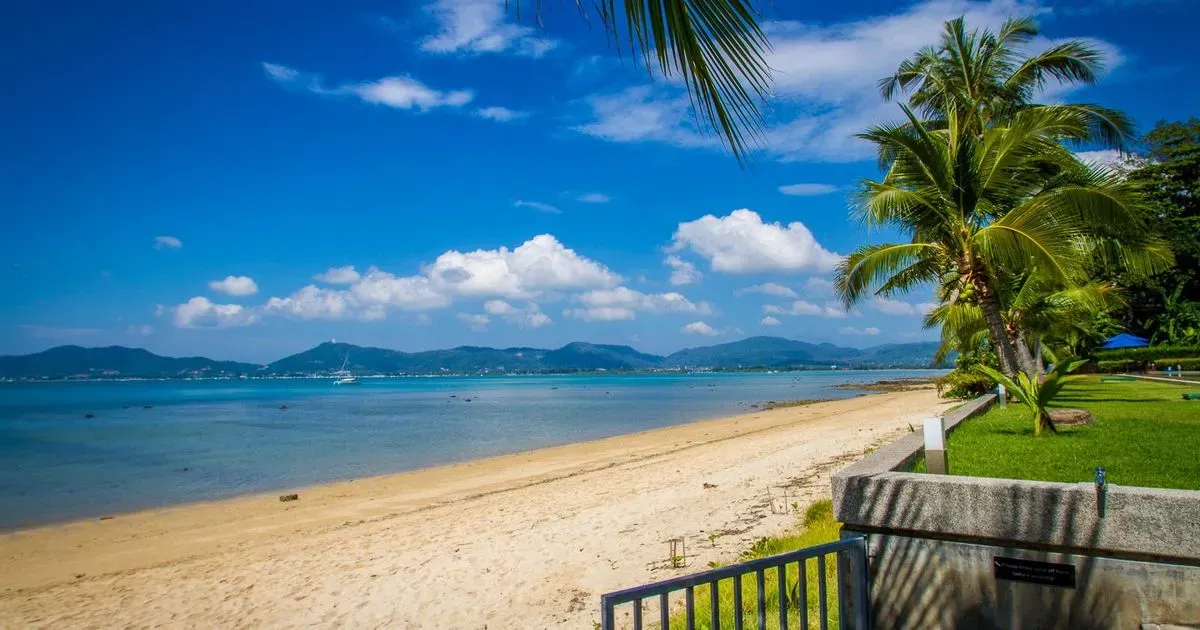 Idyllic golden beach and calm bay framed by swaying palm trees.